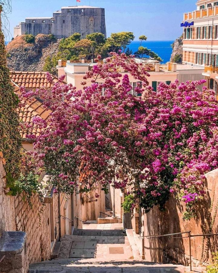 Apartmán House Nina Dubrovník Exteriér fotografie