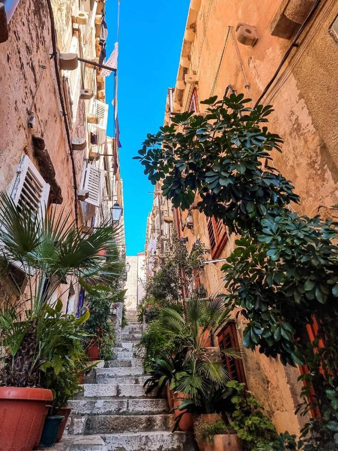 Apartmán House Nina Dubrovník Exteriér fotografie